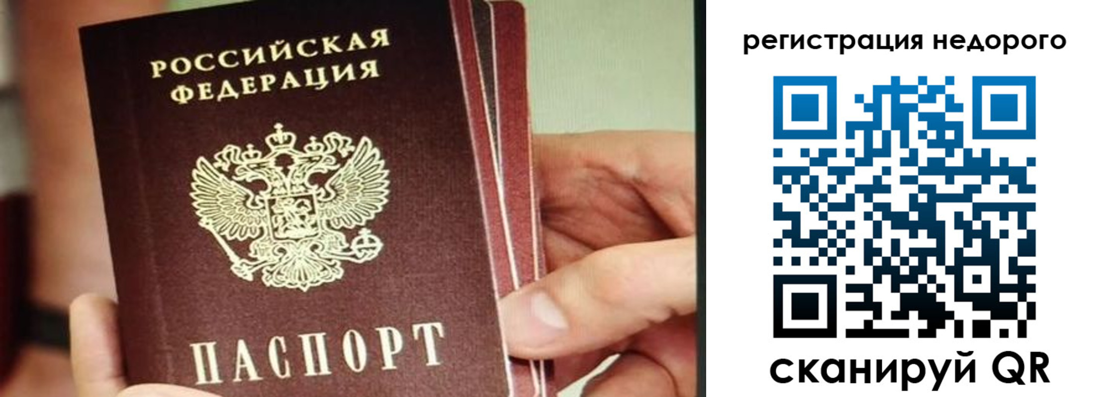 прописка в квартире в Всеволожске